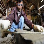 concreting